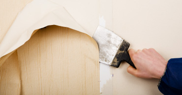 Wallpaper Removal